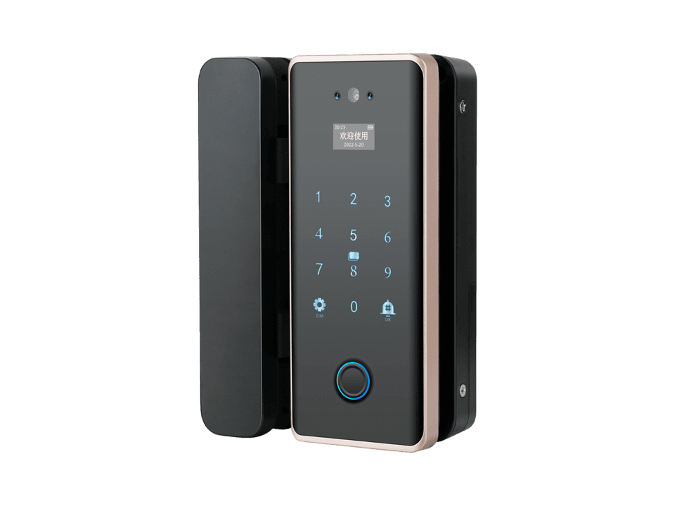 Smart Glass Door Lock-HS-KF8113FD TY